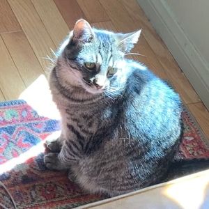 Meet your Posher, Mona